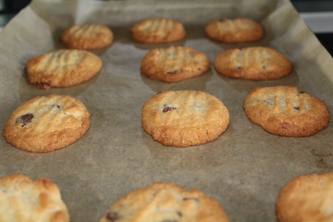 Choc-Coconut Biscuits